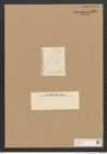 Schizonema sp. (de-Toni-Nr.: Genus 20) Zeichnungen Sammlung Grunow Nr. 2324 (NHMW-BOT-W0369450)